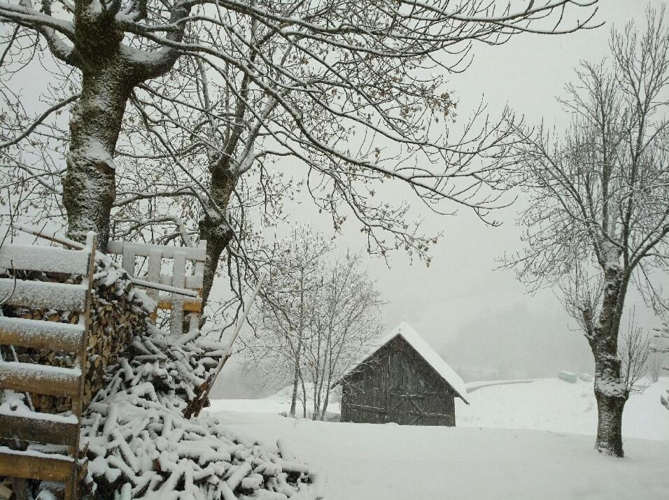 Chalet Lucie Le Cheval Noir Valmorel Exterior photo